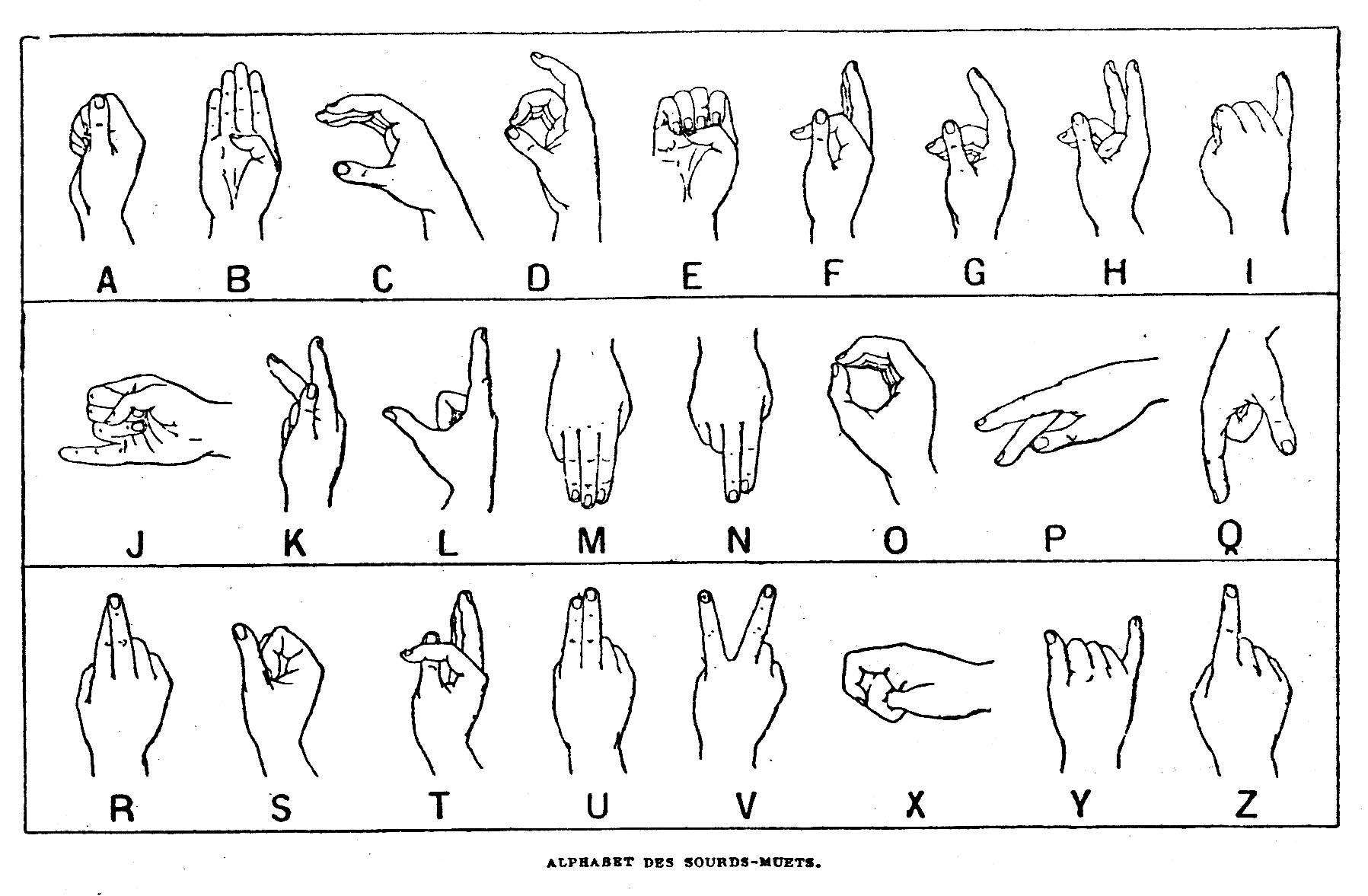 The Language Of Empathy